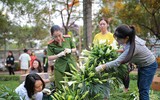 Sân khấu độc đáo làm từ hơn 10.000 bông hoa loa kèn tại Viện Huyết học
